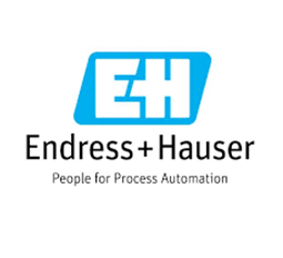 Endress + Hauser